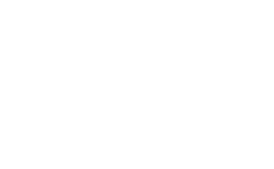 AIEcon's white logo